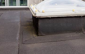 disadvantages of Dungormley flat roofs