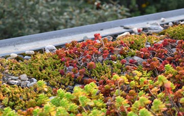 the cost of Dungormley green roof installation