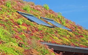Dungormley living roof systems