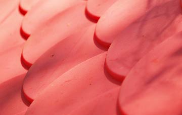 Dungormley plastic roof costs