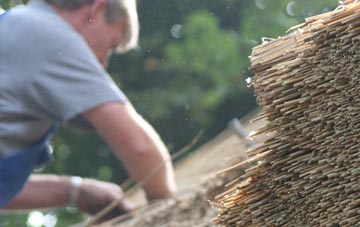 professional Dungormley thatchers