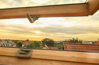 rated Dungormley roof window companies