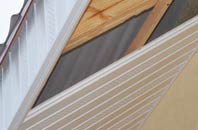 rated Dungormley soffit repair companies